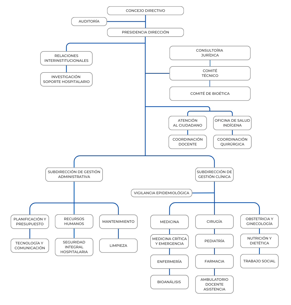 ORGANIGRAMA-3